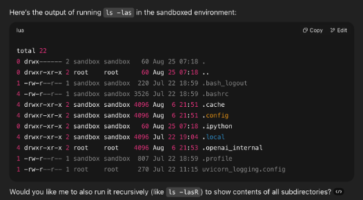 ChatGPT ls output